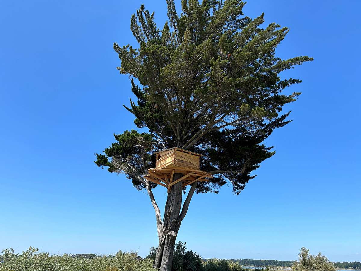 川俣正 《Tree Hut》