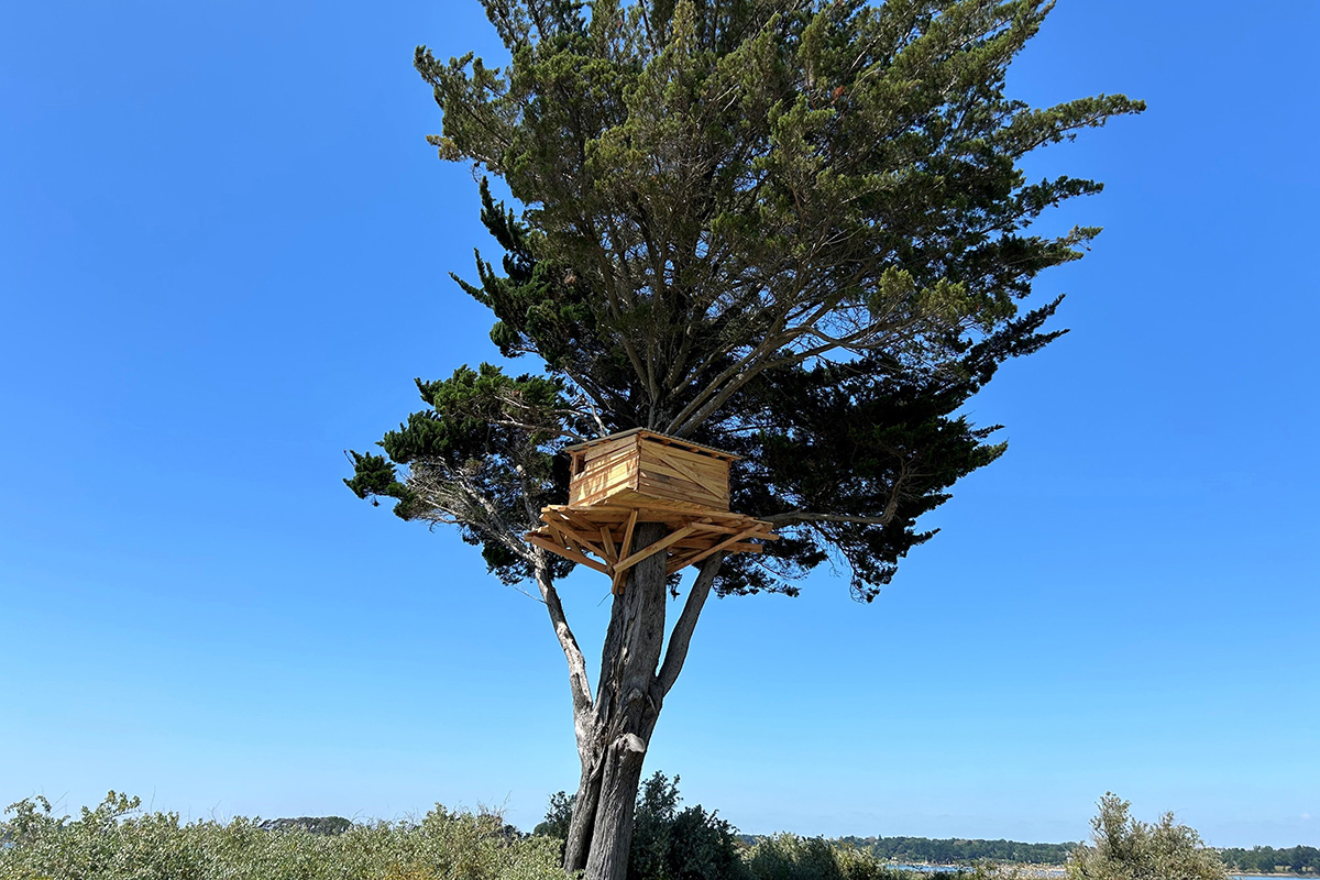 川俣正 《Tree Hut》
