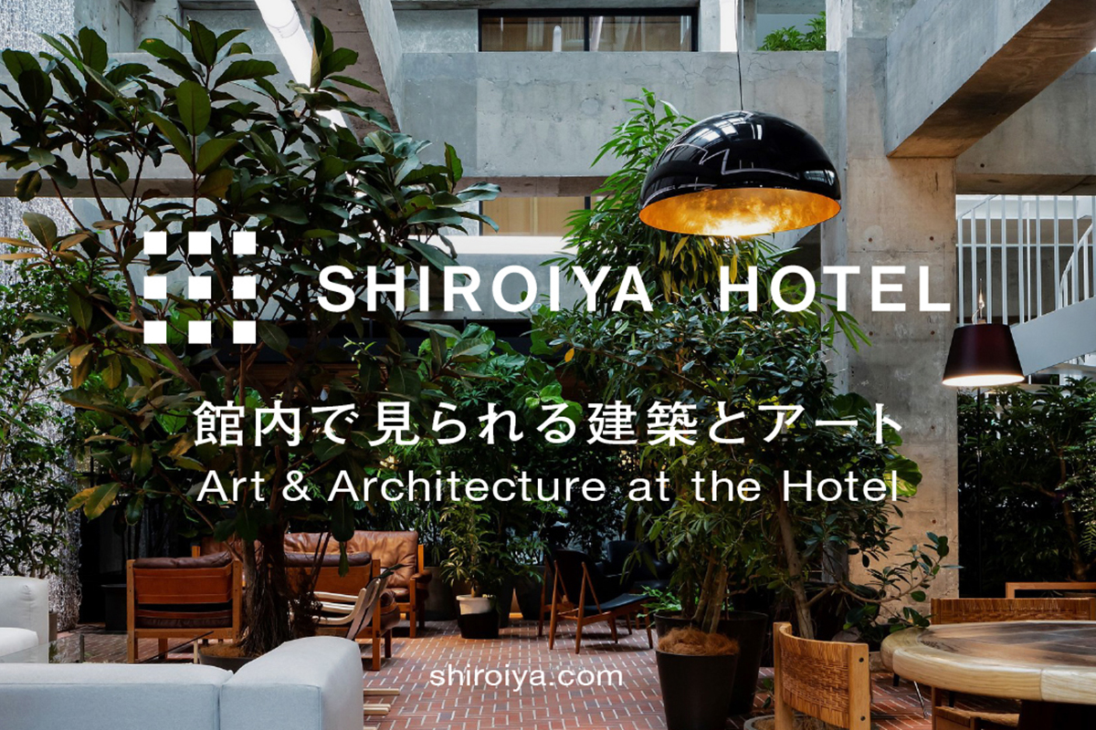 白井屋ホテルで見られる建築とアート