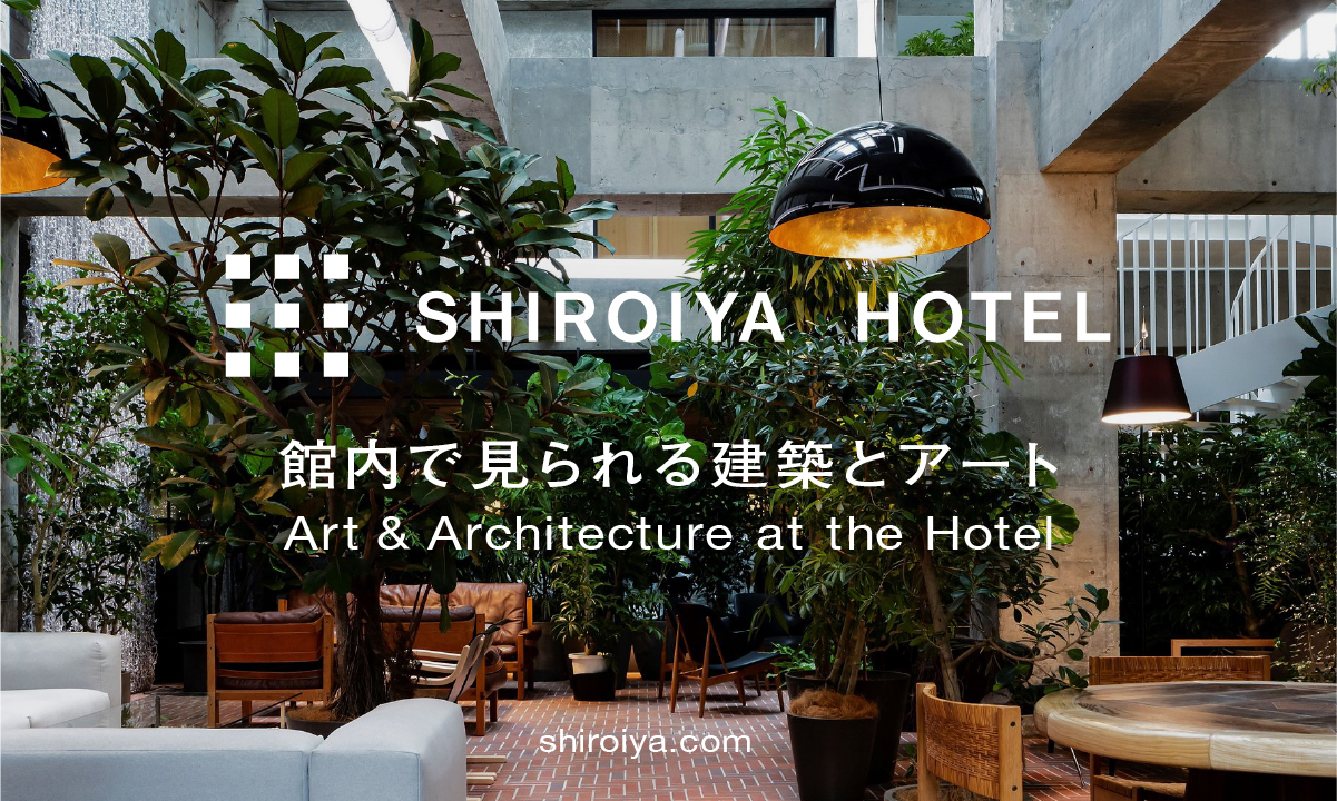 白井屋ホテルで見られる建築とアート